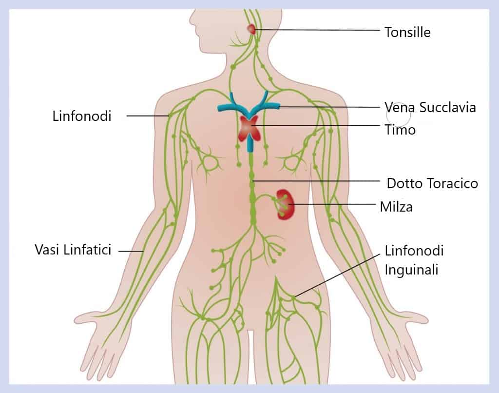 massaggio linfodrenaggio